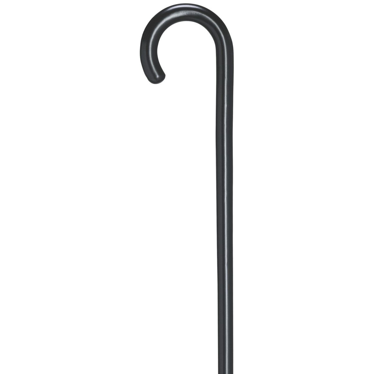 Fashion Color Tourist Cane-Black