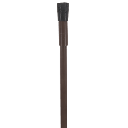 Genuine Leather Brown Cane Handle Chair  - Non-Adjustable