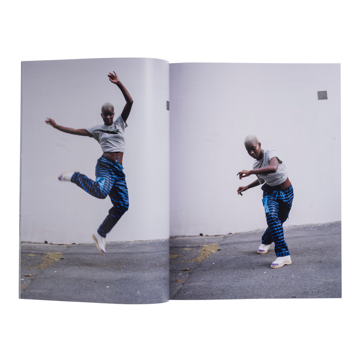 DIEMME.30.YRS book