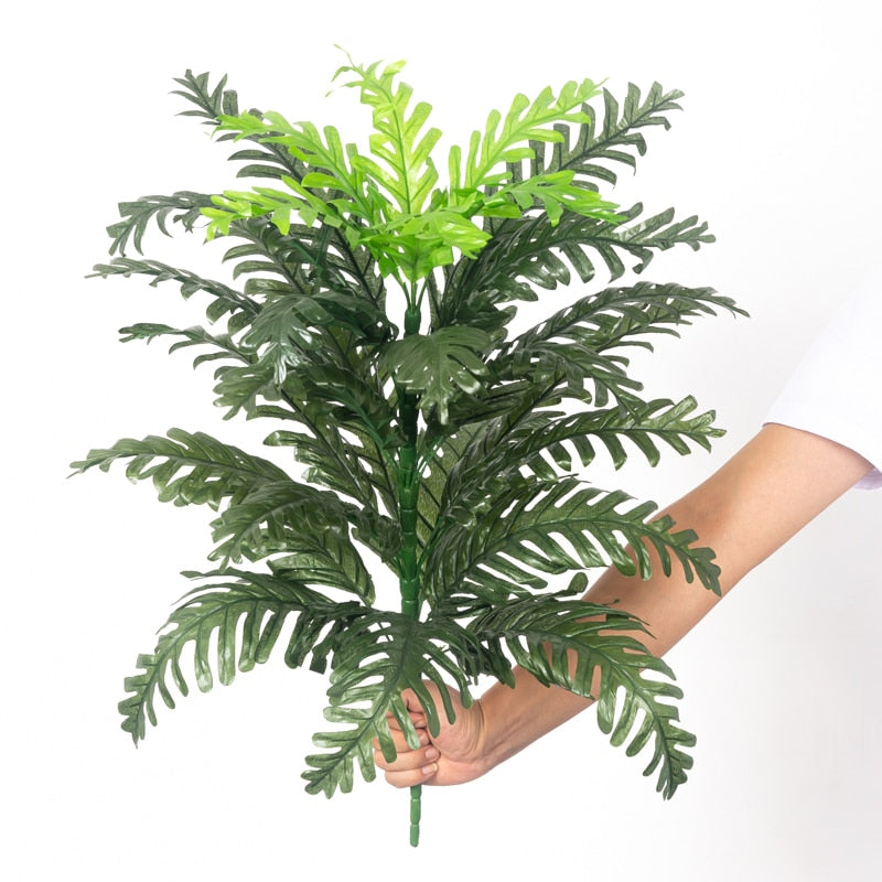 Tropical Palm Tree