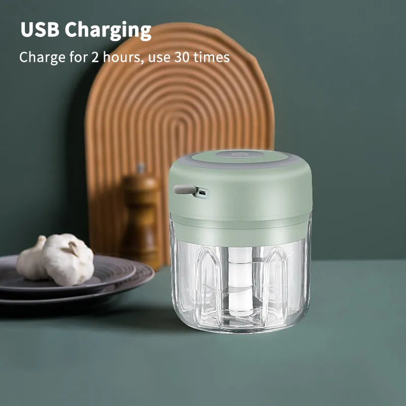 Mini Electric Meat Grinder and Garlic Crusher