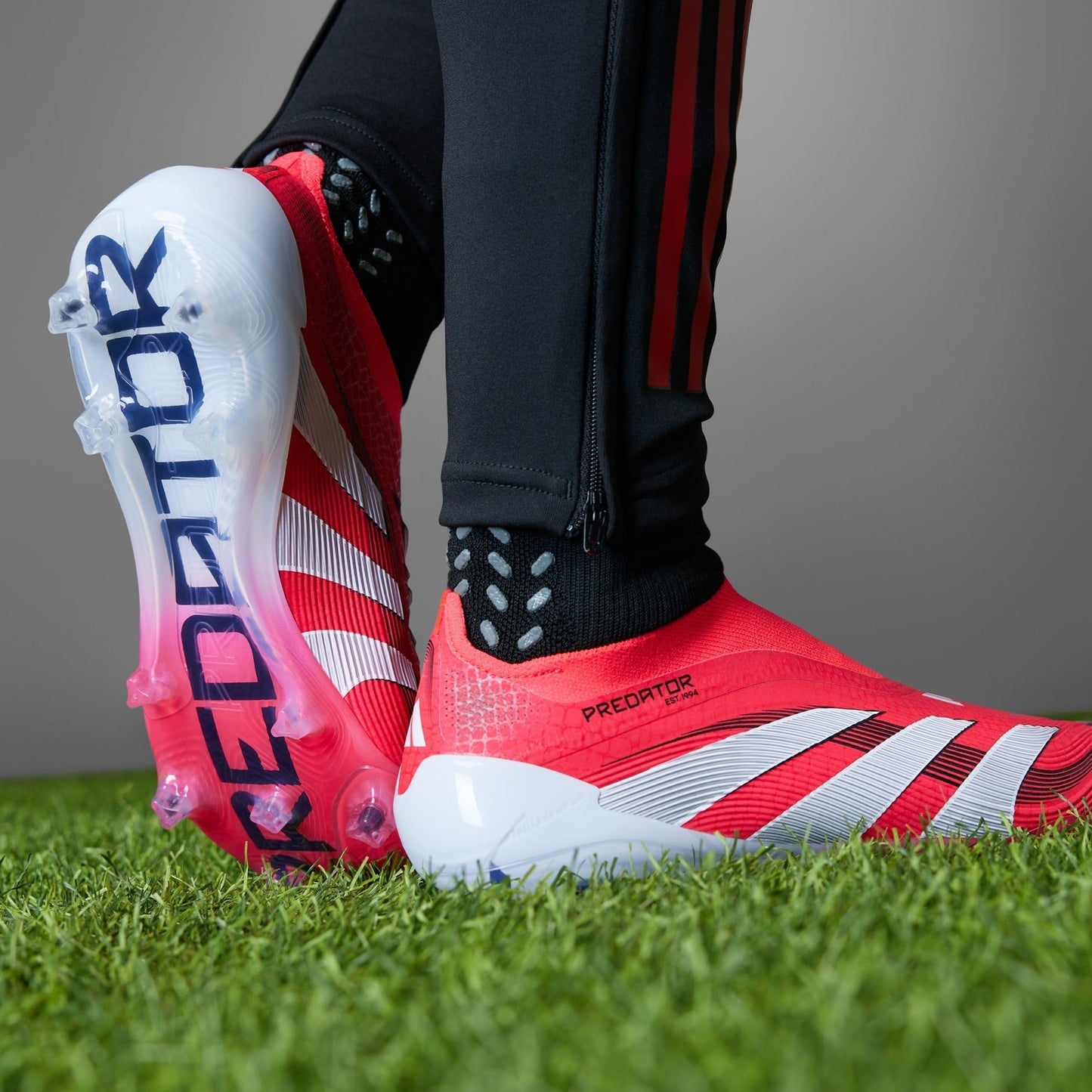 [id3877] Mens adidas Predator Elite Ll Fg 'pure Victory Pack'