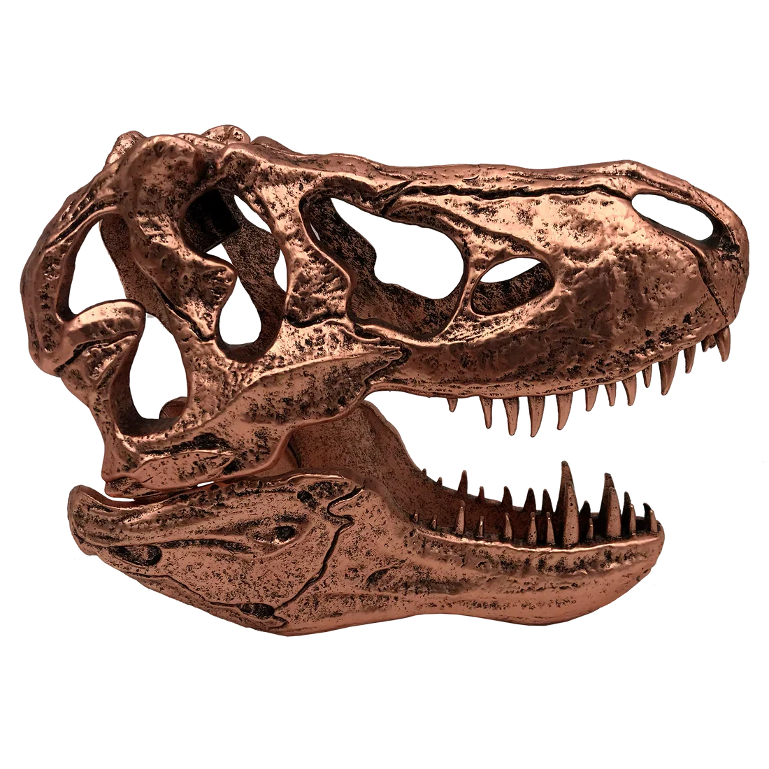 Factory Entertainment Jurassic Park T-Rex Skull Scaled Prop Replica
