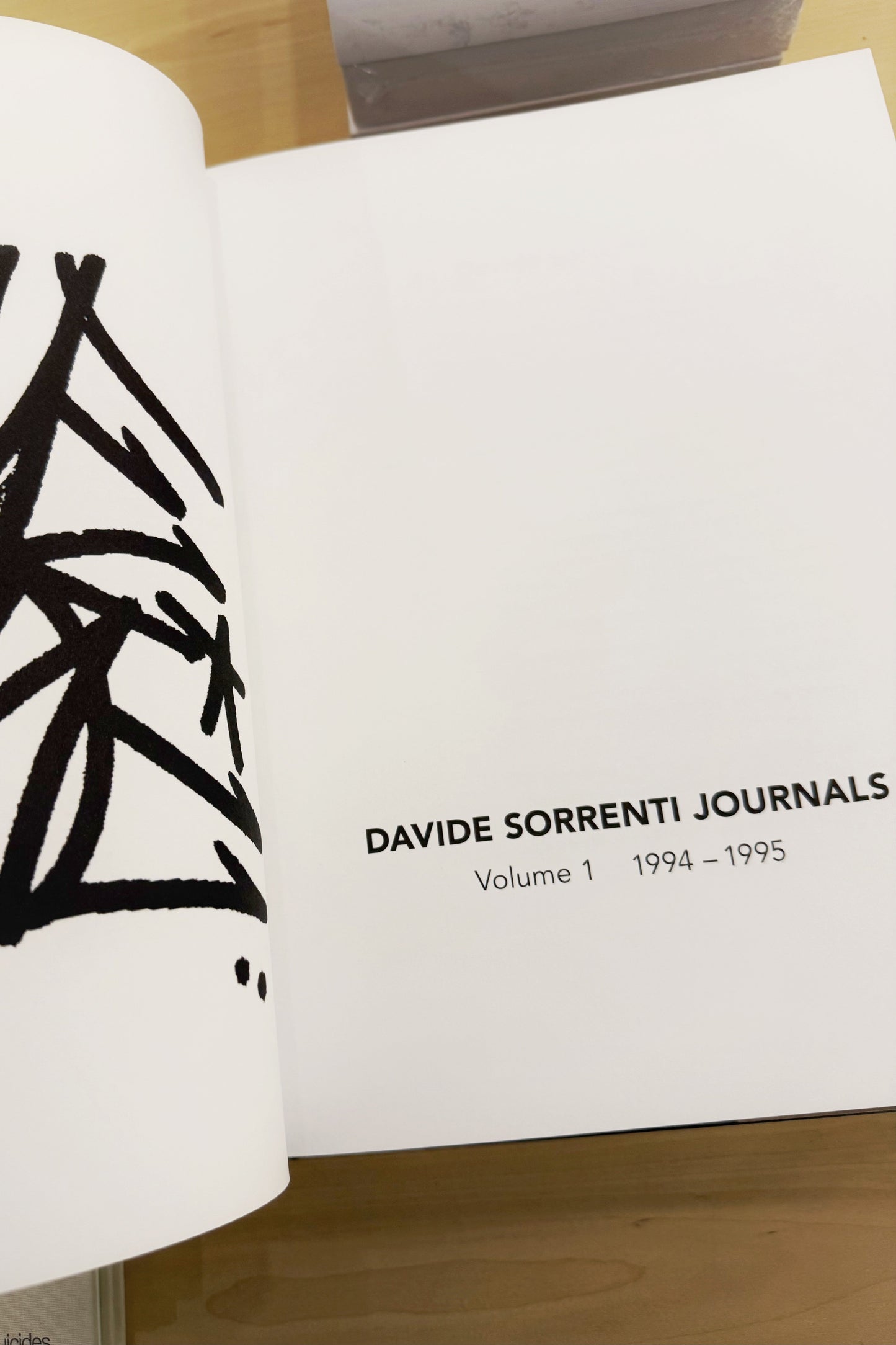 Davide Sorrenti Journals Volume 1