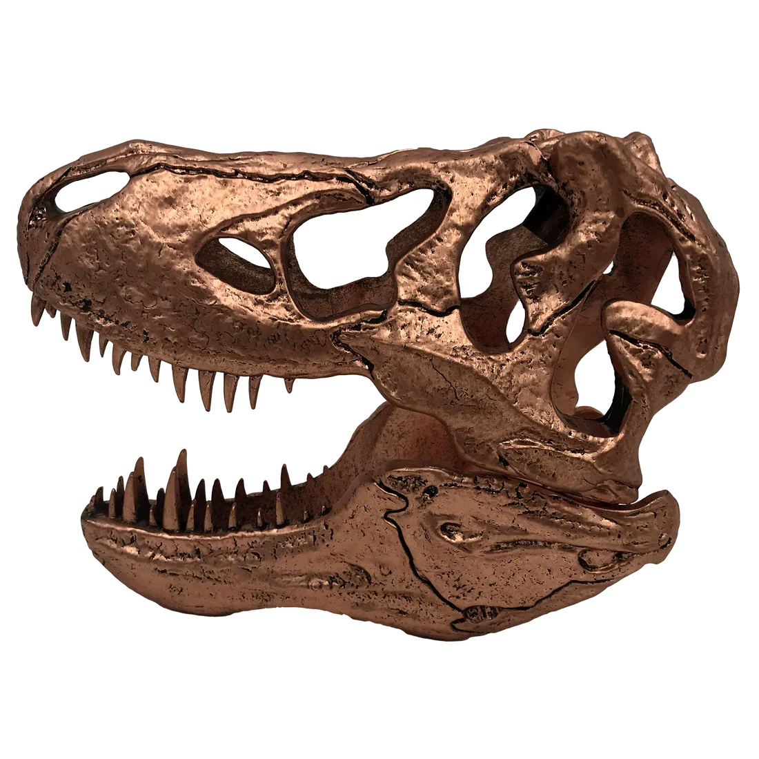 Factory Entertainment Jurassic Park T-Rex Skull Scaled Prop Replica