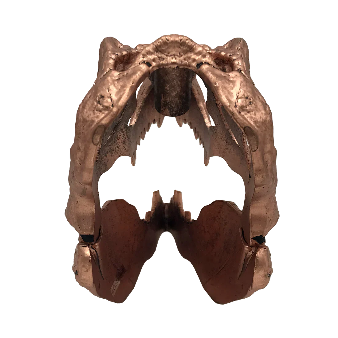 Factory Entertainment Jurassic Park T-Rex Skull Scaled Prop Replica