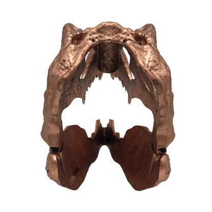 Factory Entertainment Jurassic Park T-Rex Skull Scaled Prop Replica