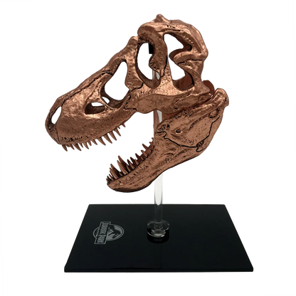 Factory Entertainment Jurassic Park T-Rex Skull Scaled Prop Replica