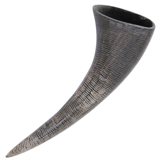 Medieval Feasting Buffalo Black Dining Drinking Bovine Horn Collectible