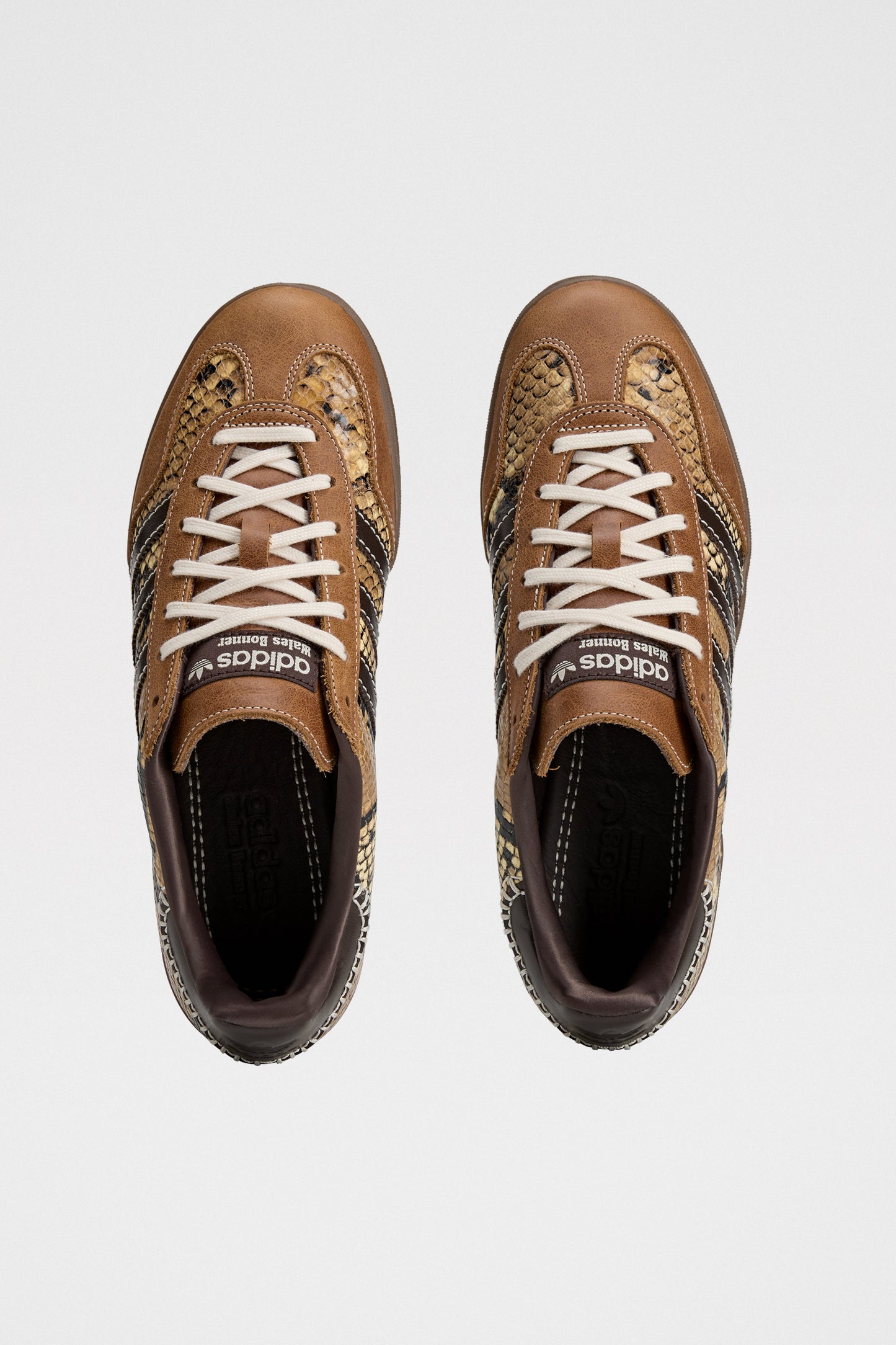 adidas by Wales Bonner Gazelle Snake Dusrus / Wonder White