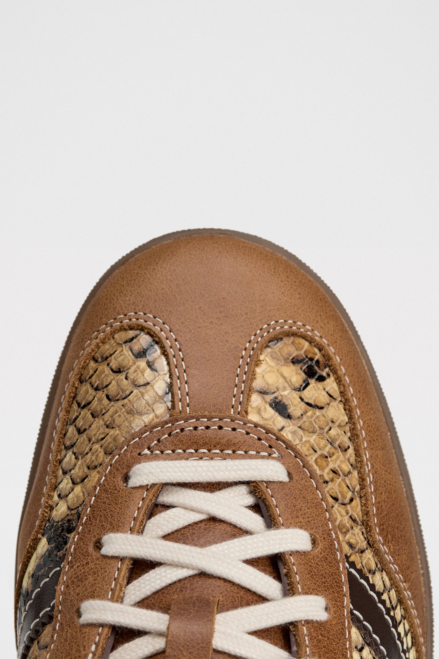 adidas by Wales Bonner Gazelle Snake Dusrus / Wonder White
