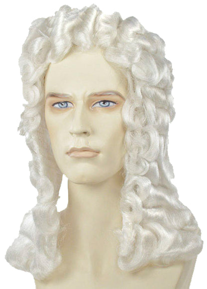 Discount Judge Wig