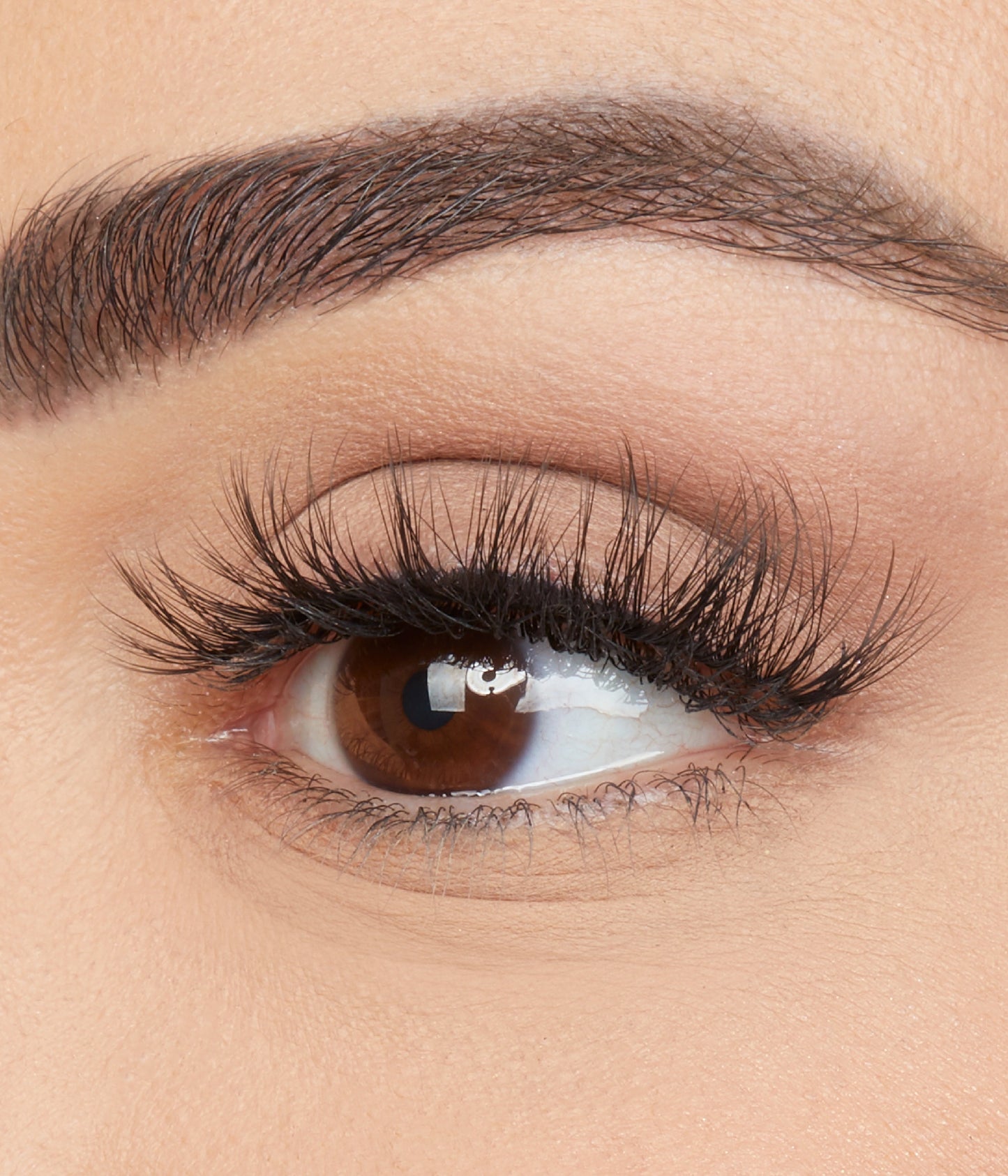 Hoodie TRUE Lashes