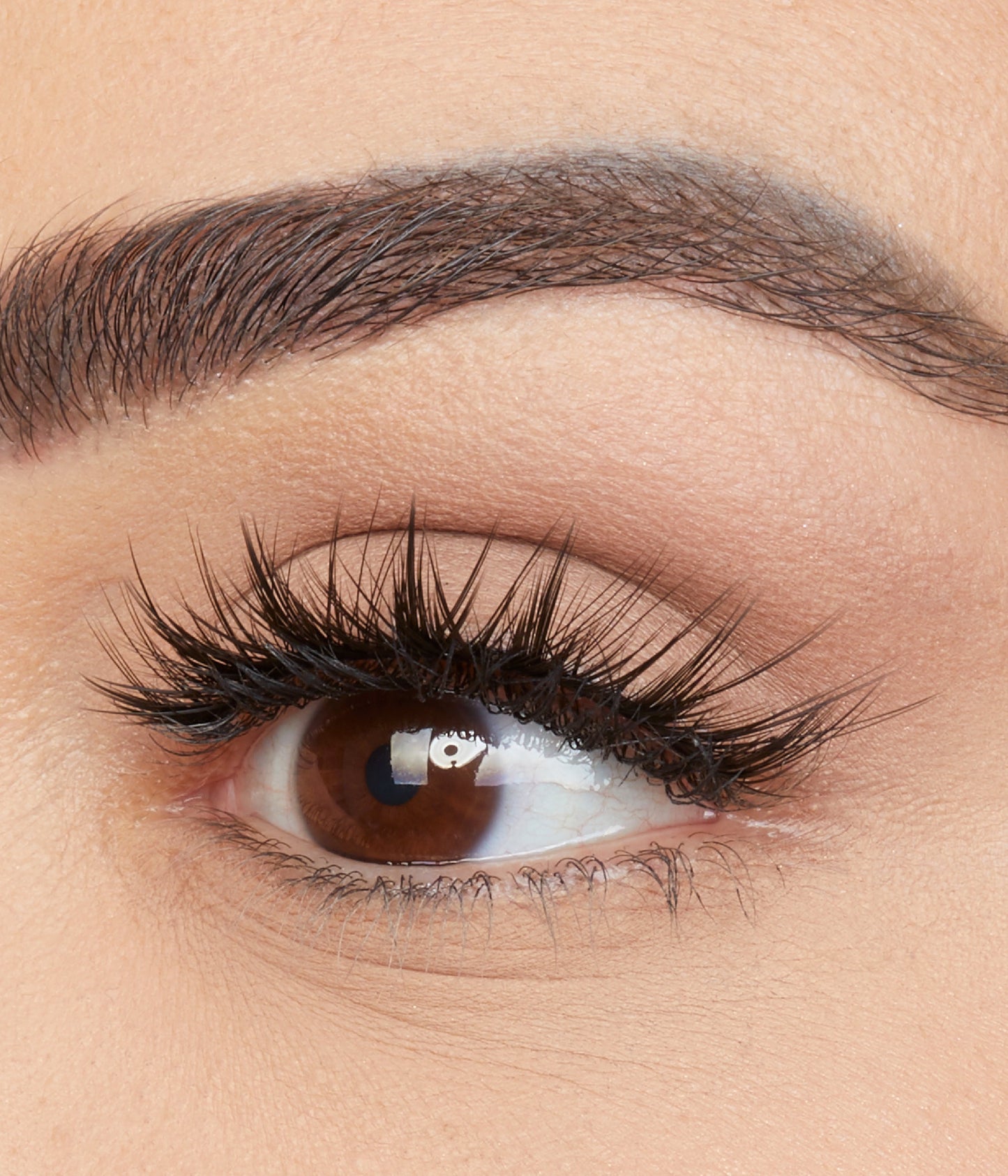 Classic TRUE Lash - Scarlett #8