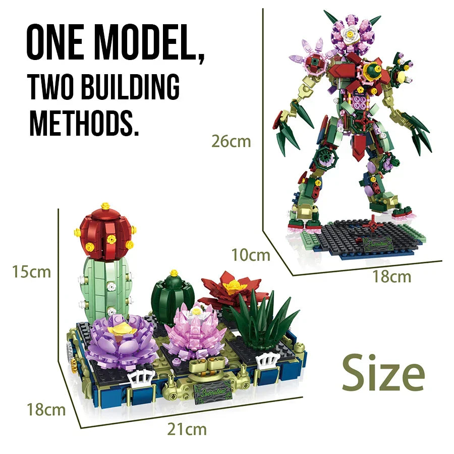 Creative Two Variations Succulents Potted Plant