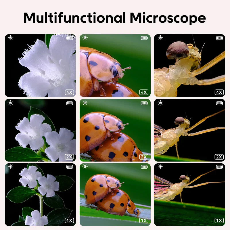 Kids Handheld Digital Microscope 500x with HD Display