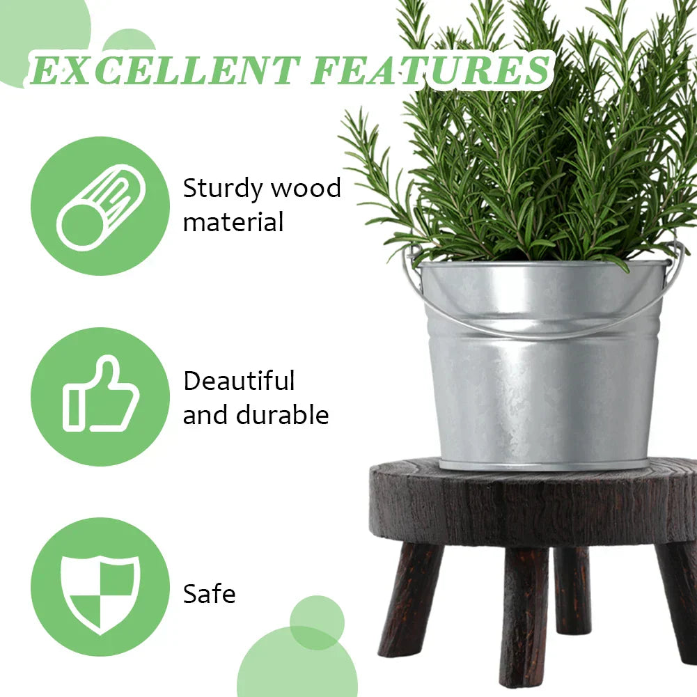 Multipurpose Wooden Stool Step Ladder for Fishing and More