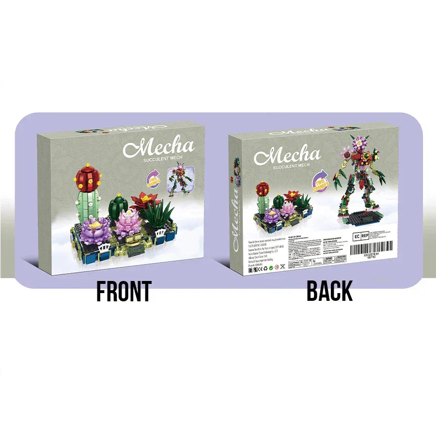 Creative Two Variations Succulents Potted Plant