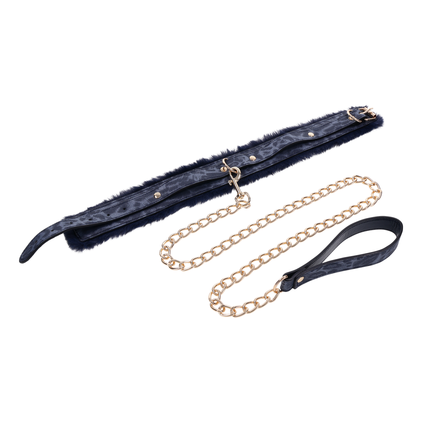 Cougar Fur Collar & Leash