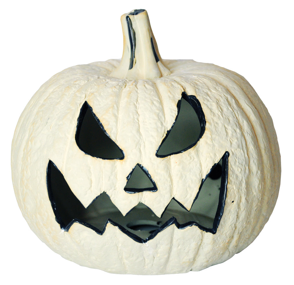 Pumpkin Fire Log