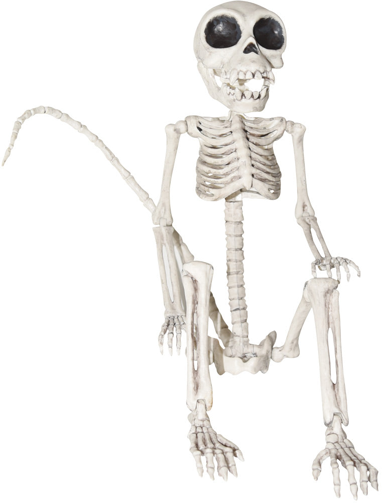 Monkey Skeleton