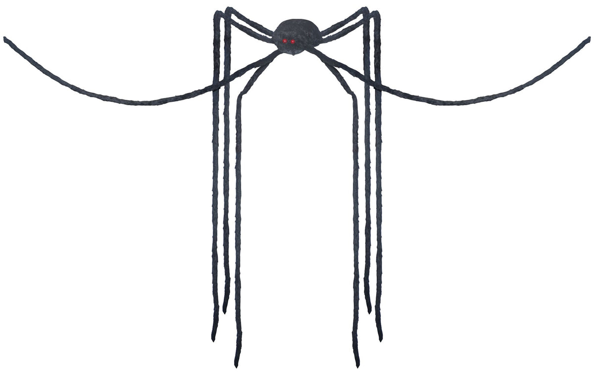 Giant Long-Legs Spider