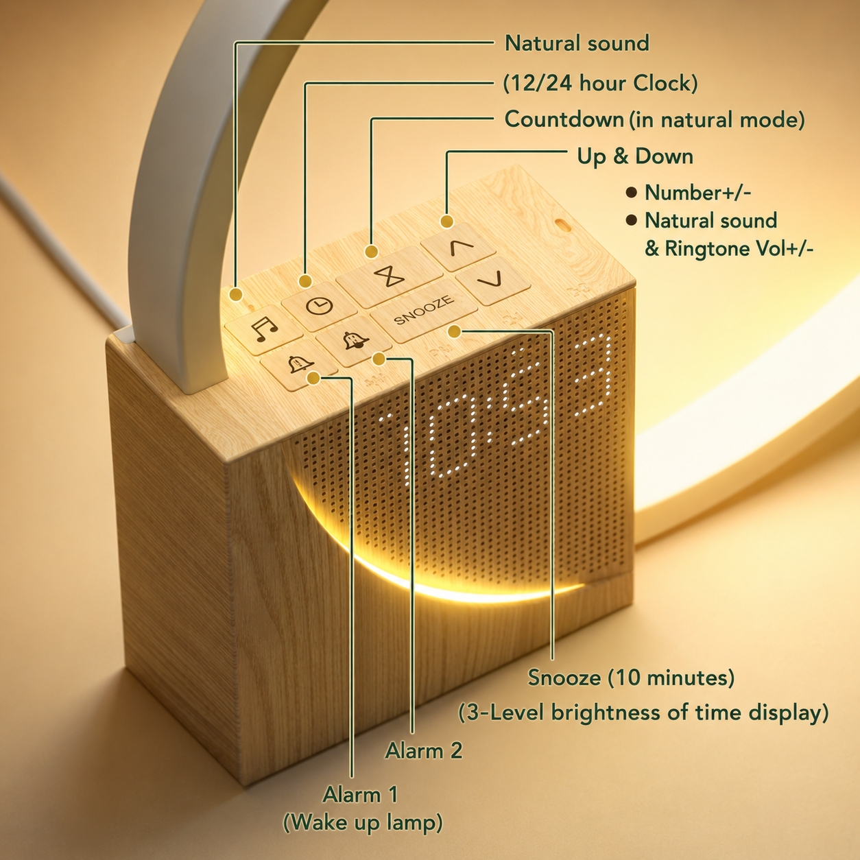Sunrise Wake Up Light Alarm Clock and Sound Machine for Calmer Sleep Routines