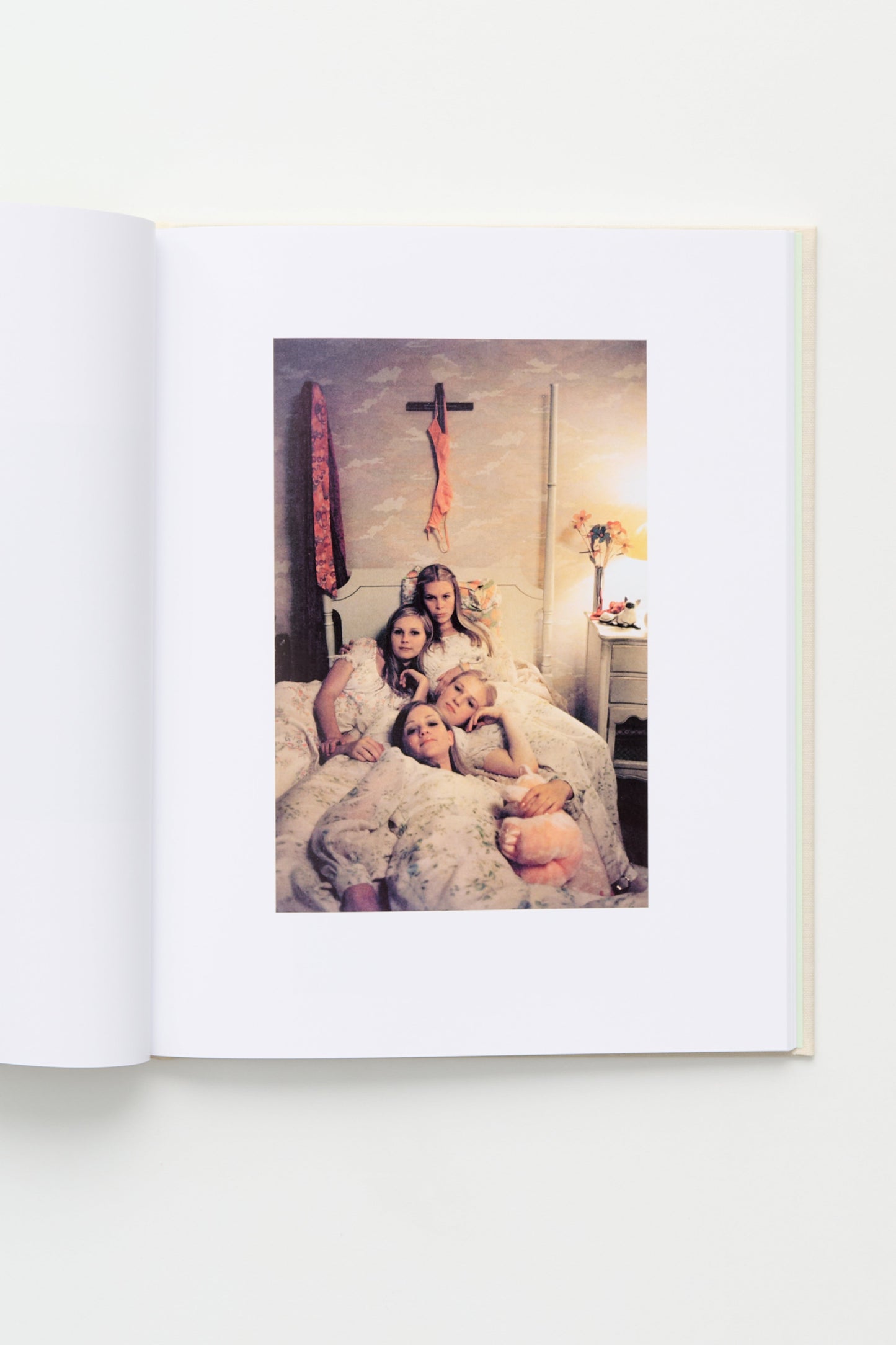 Sofia Coppola: The Virgin Suicides