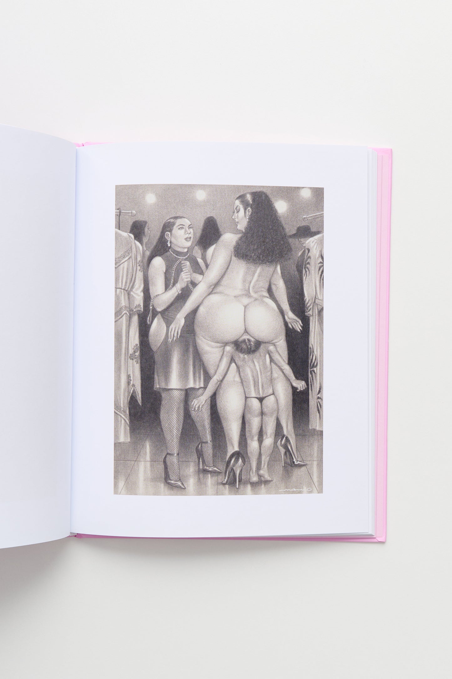 Namio Harukawa Book