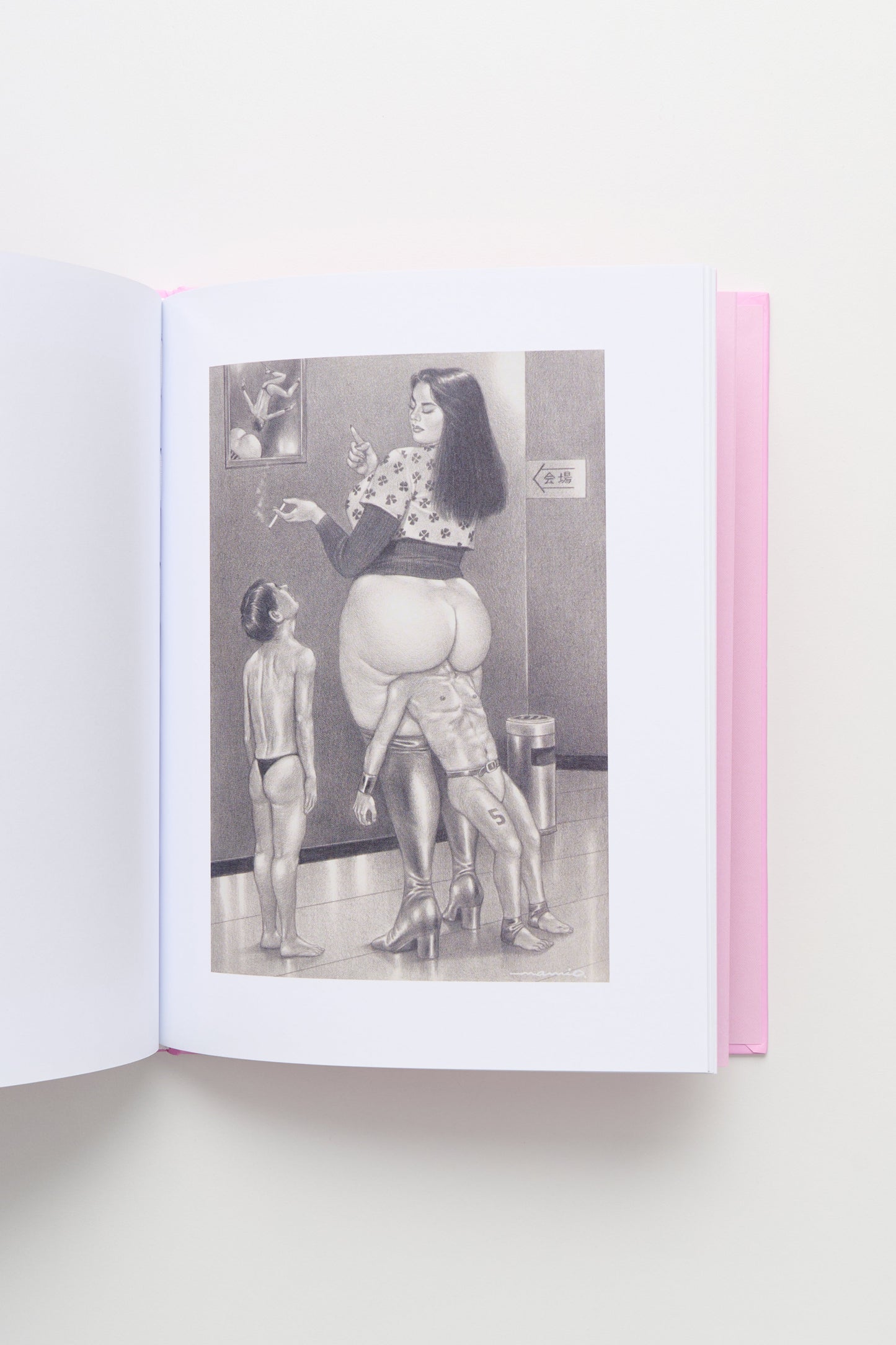 Namio Harukawa Book