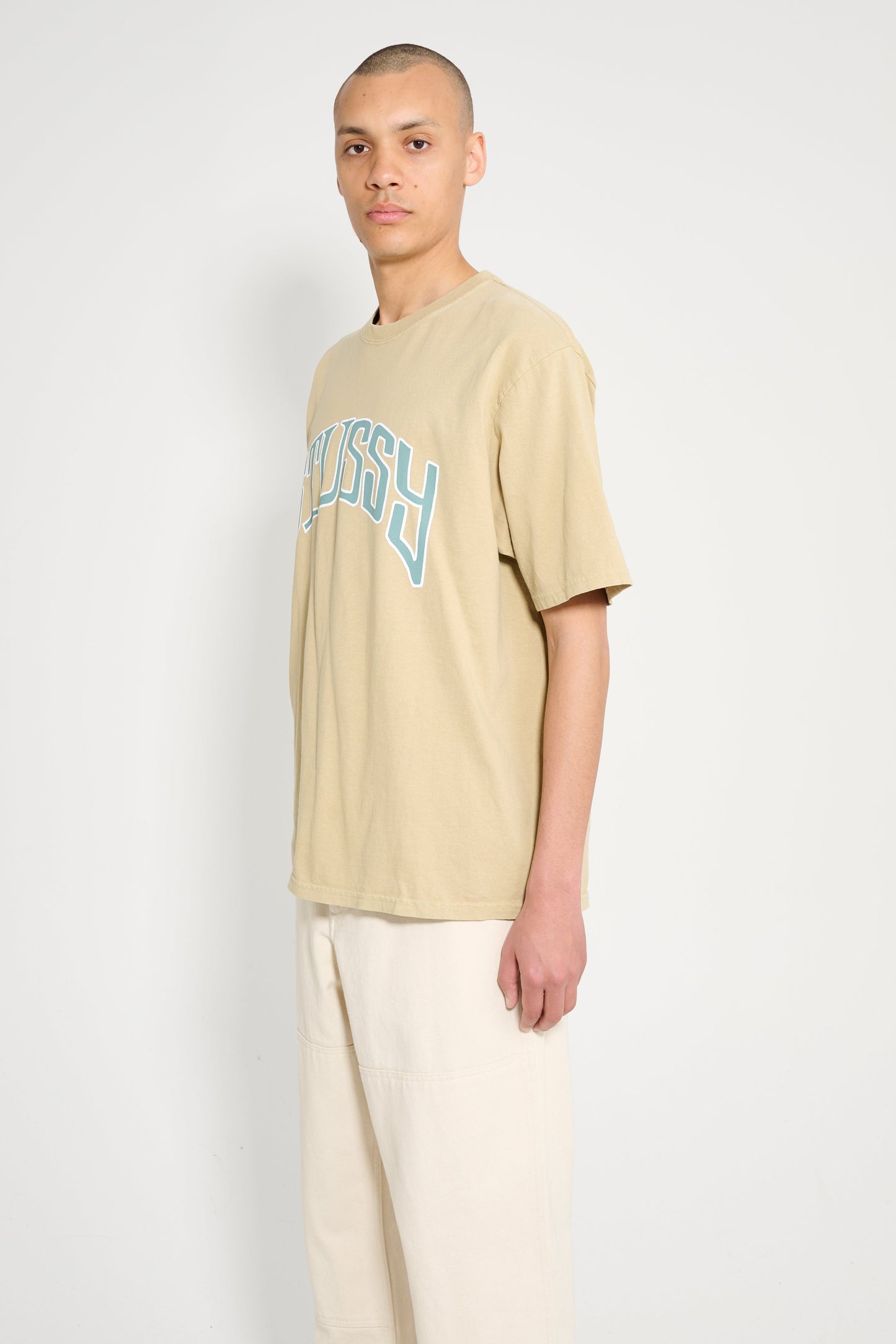 Stüssy Arched Pigment Dyed Tee Elm