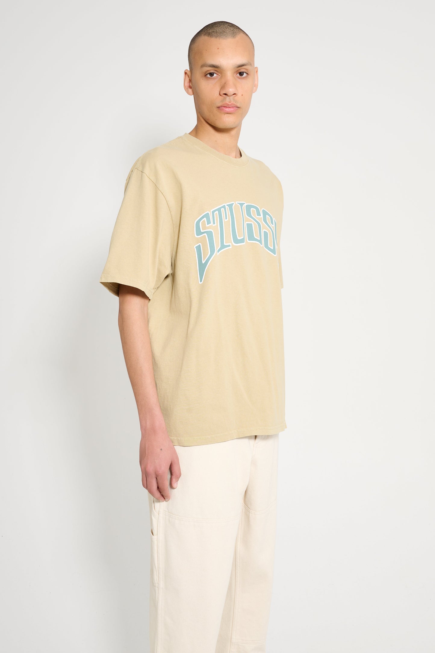 Stüssy Arched Pigment Dyed Tee Elm