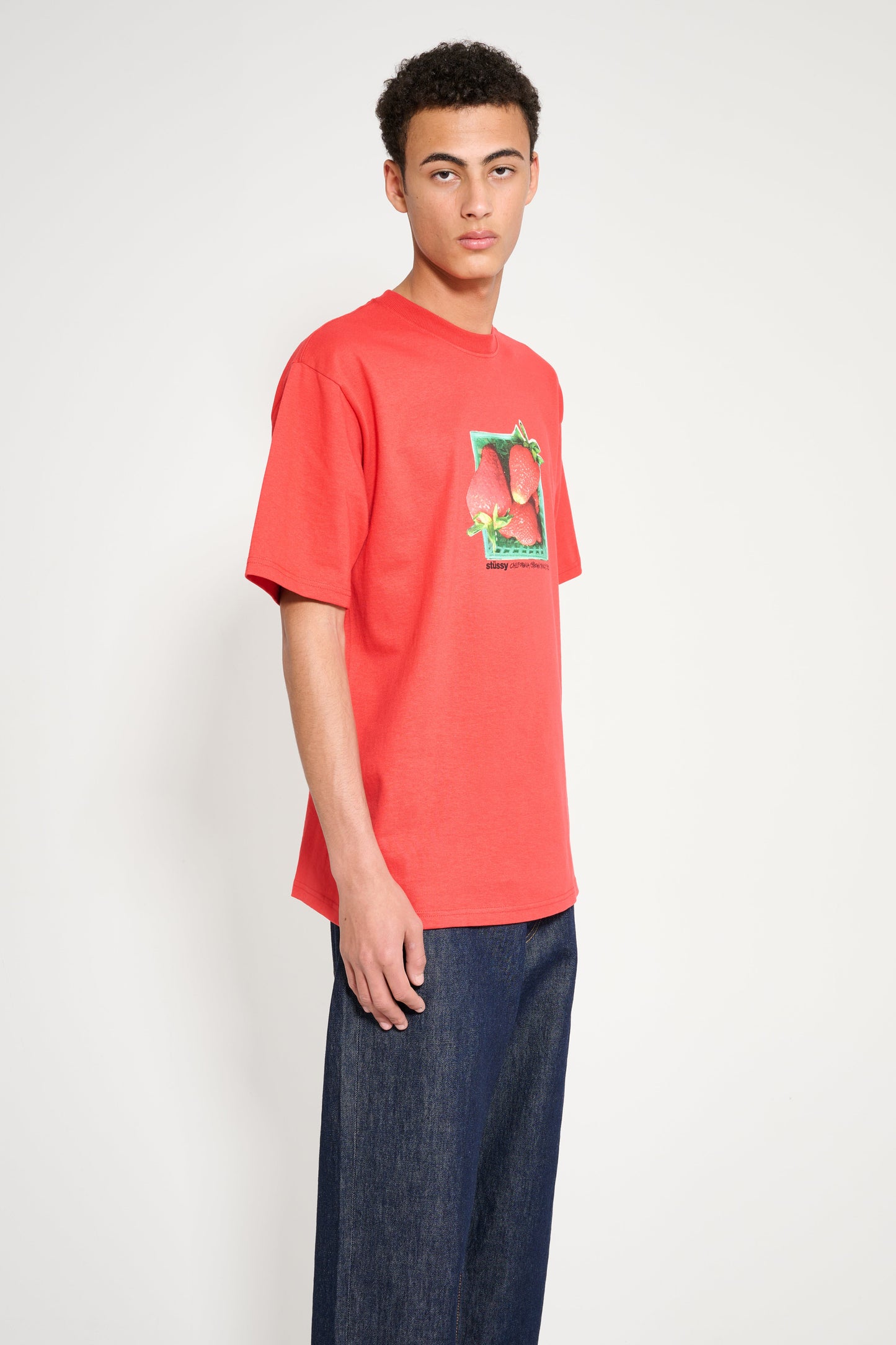 Stüssy Berries Tee Cayenne