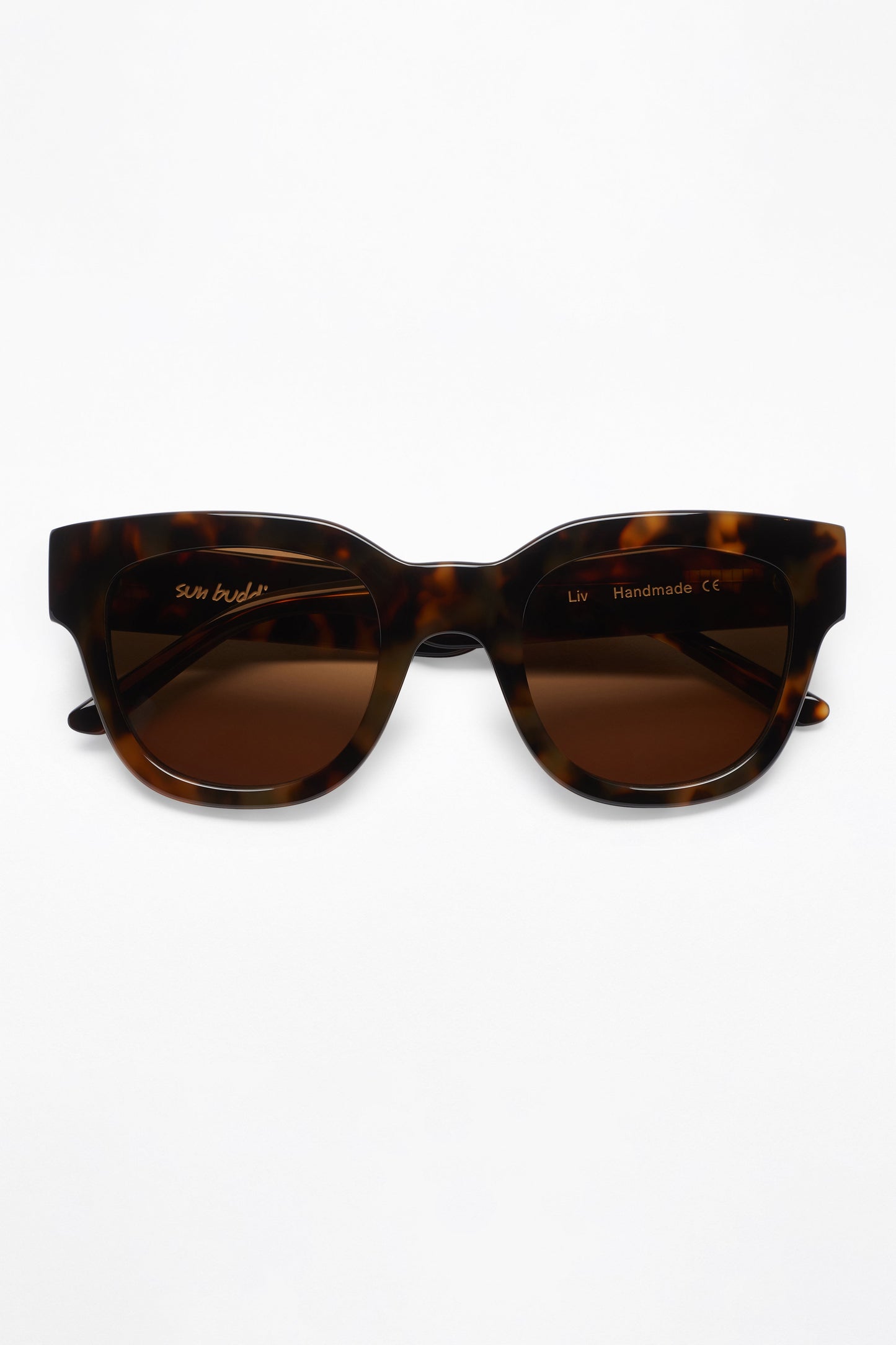 Sun Buddies Liv Tortoise