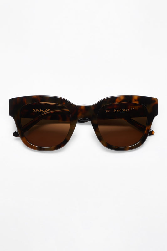 Sun Buddies Liv Tortoise