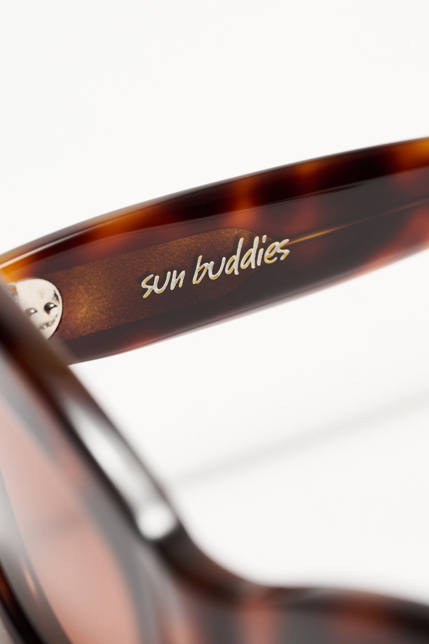 Sun Buddies Courtney Tortoise