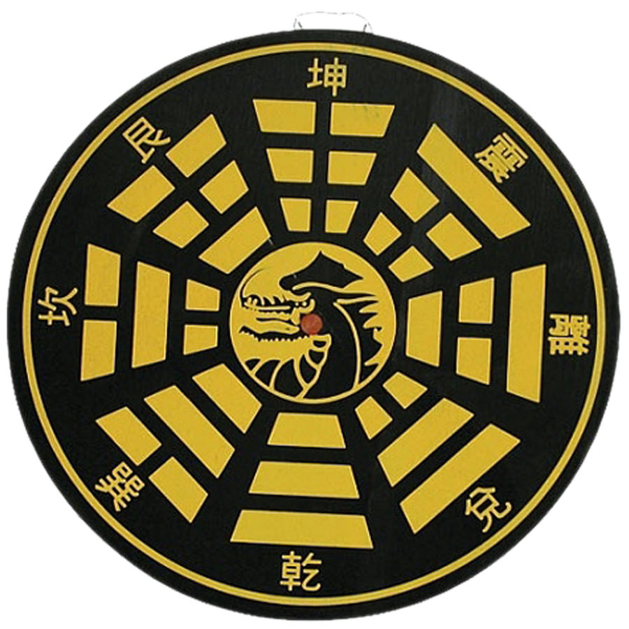 Bullseye Dragon Target Throwing Board