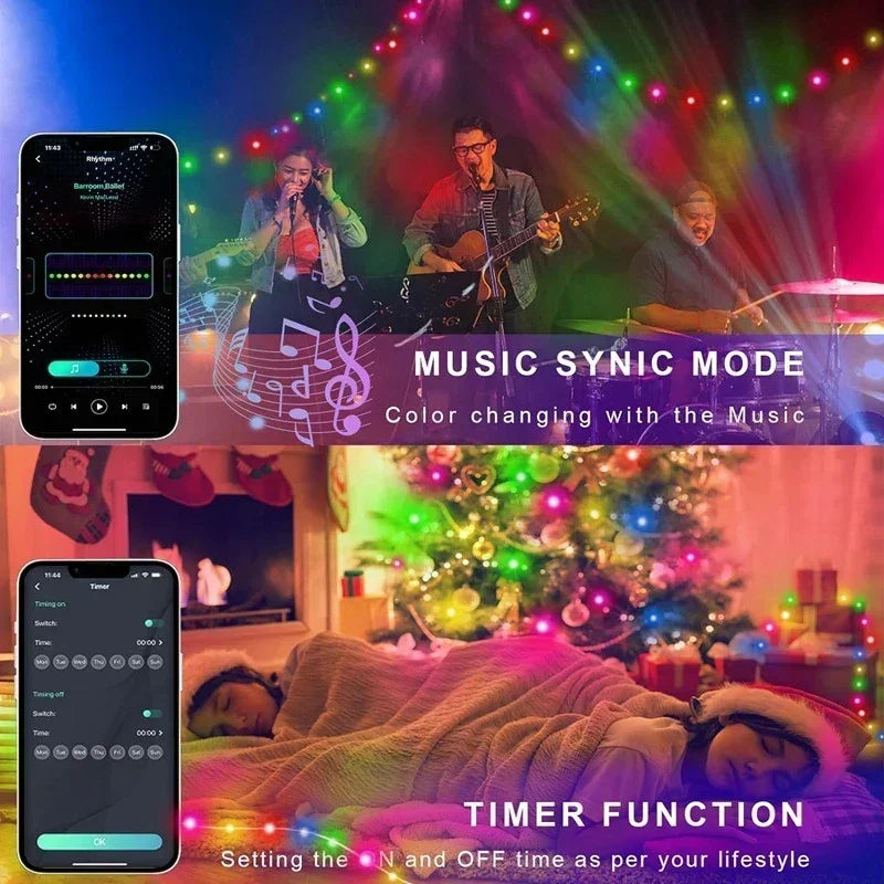 LED Fairy String Light with Remote