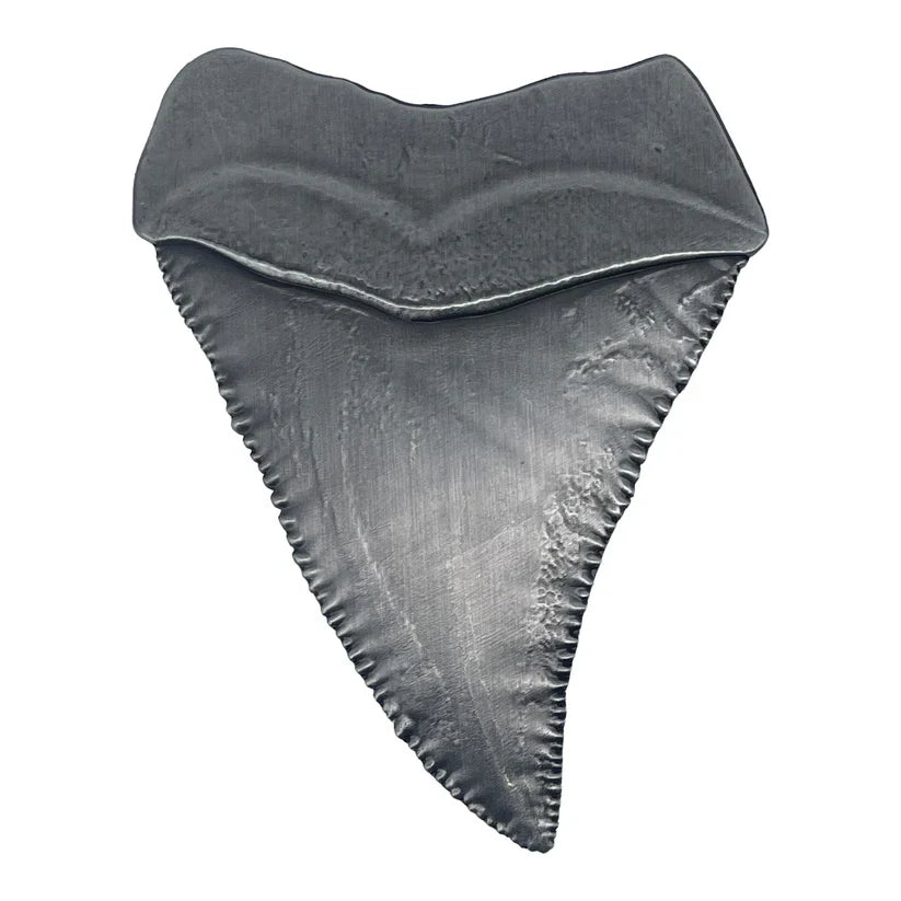 Jaws - 50th Anniversary Shark Tooth Medallion