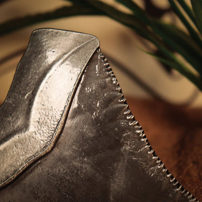 Jaws - 50th Anniversary Shark Tooth Medallion