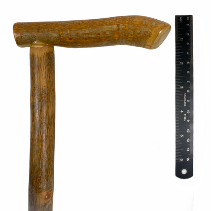 Natural Spiral Vine Twisted Wood Walking Cane - 36.5"