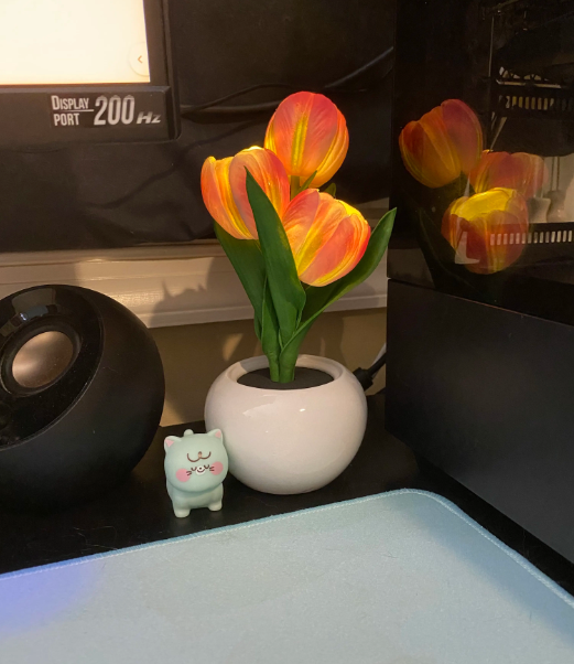 Tulip Table Lamp