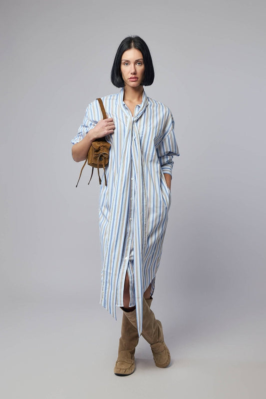 Striped Shirt Dress