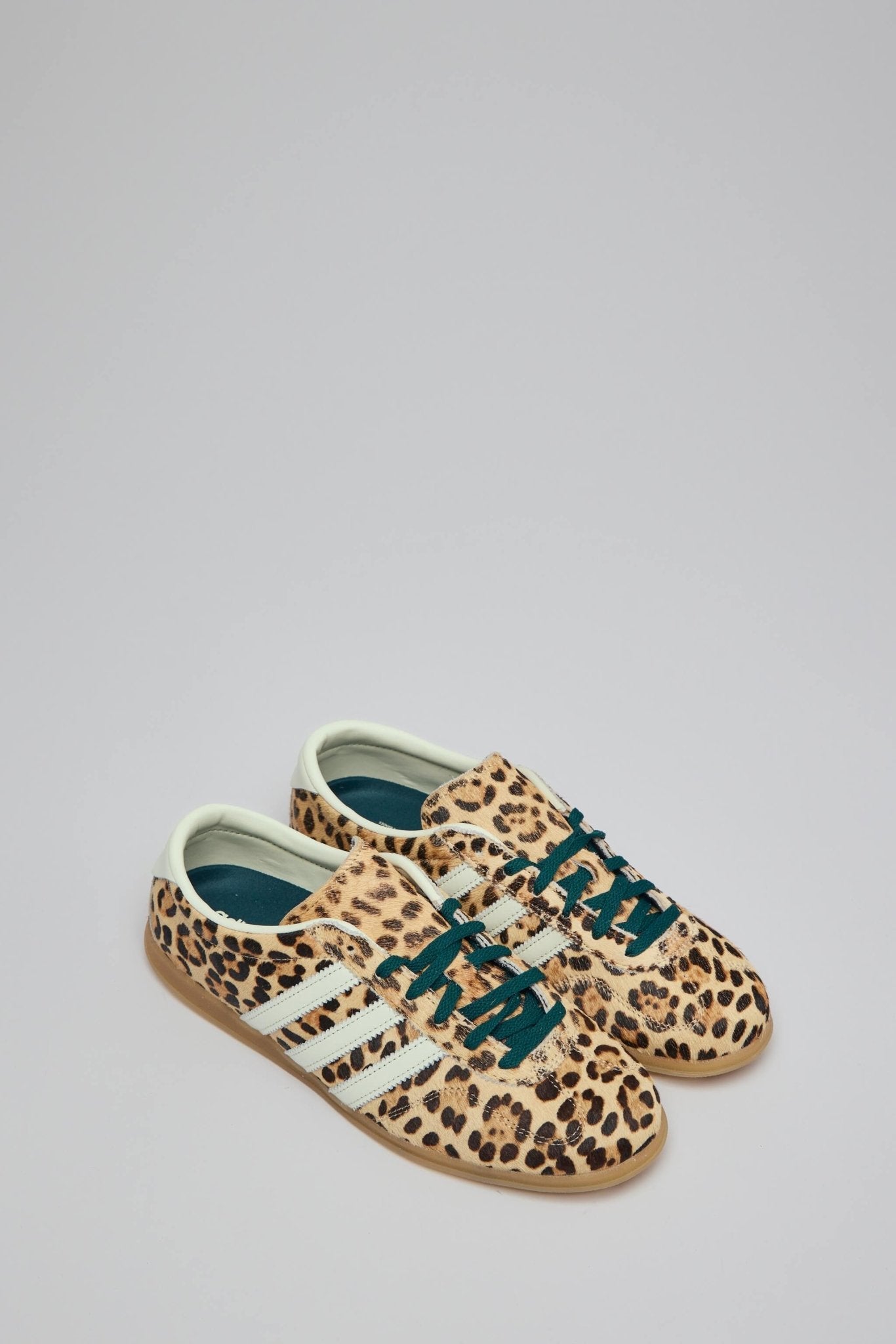 Gazelle Lo Pro W