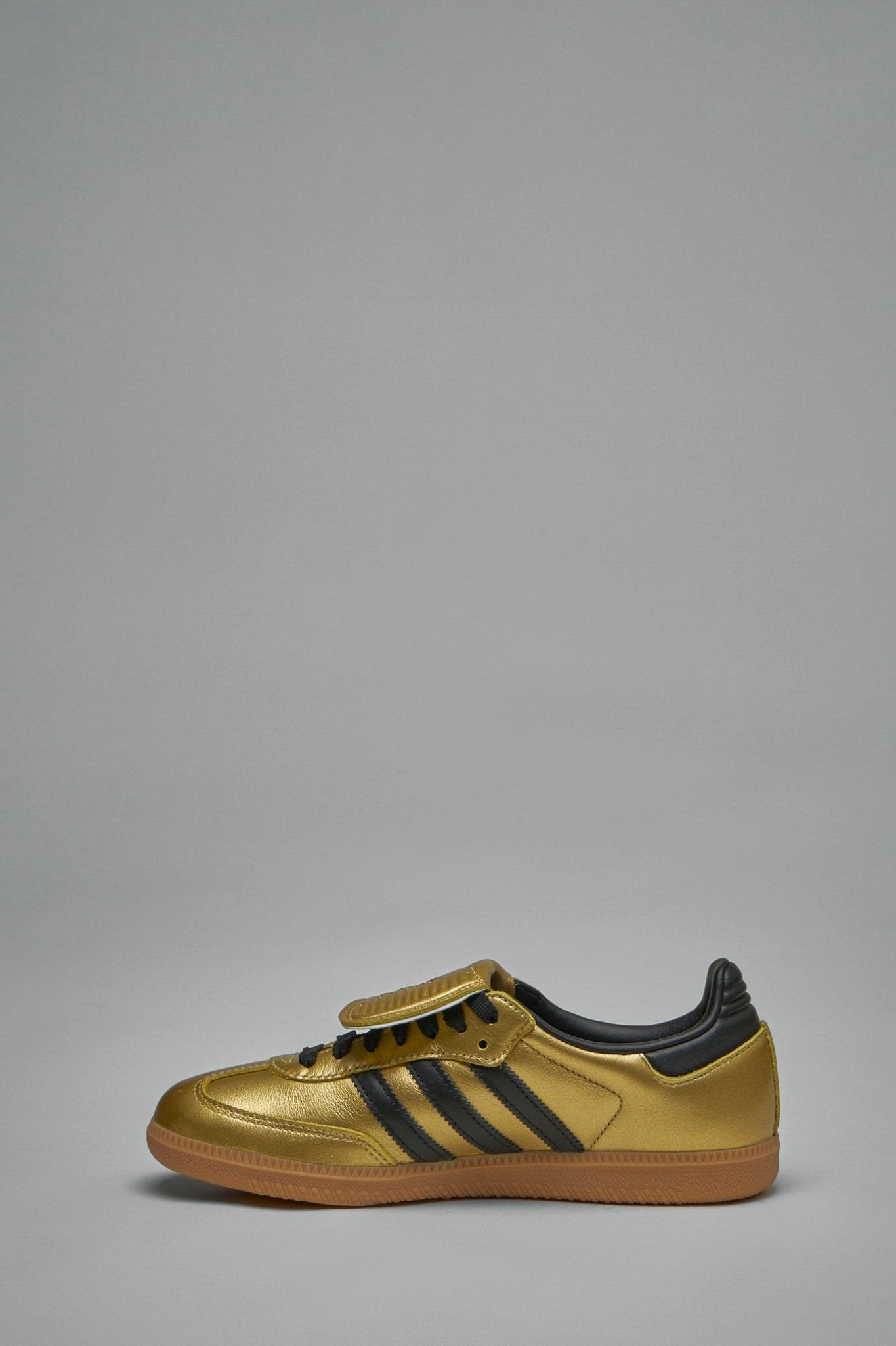 SAMBA LT W