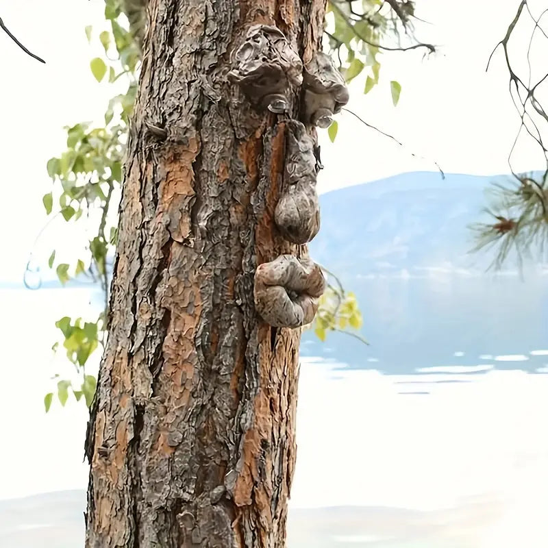 3Pcs Tree Faces - Tree Hugger Statues