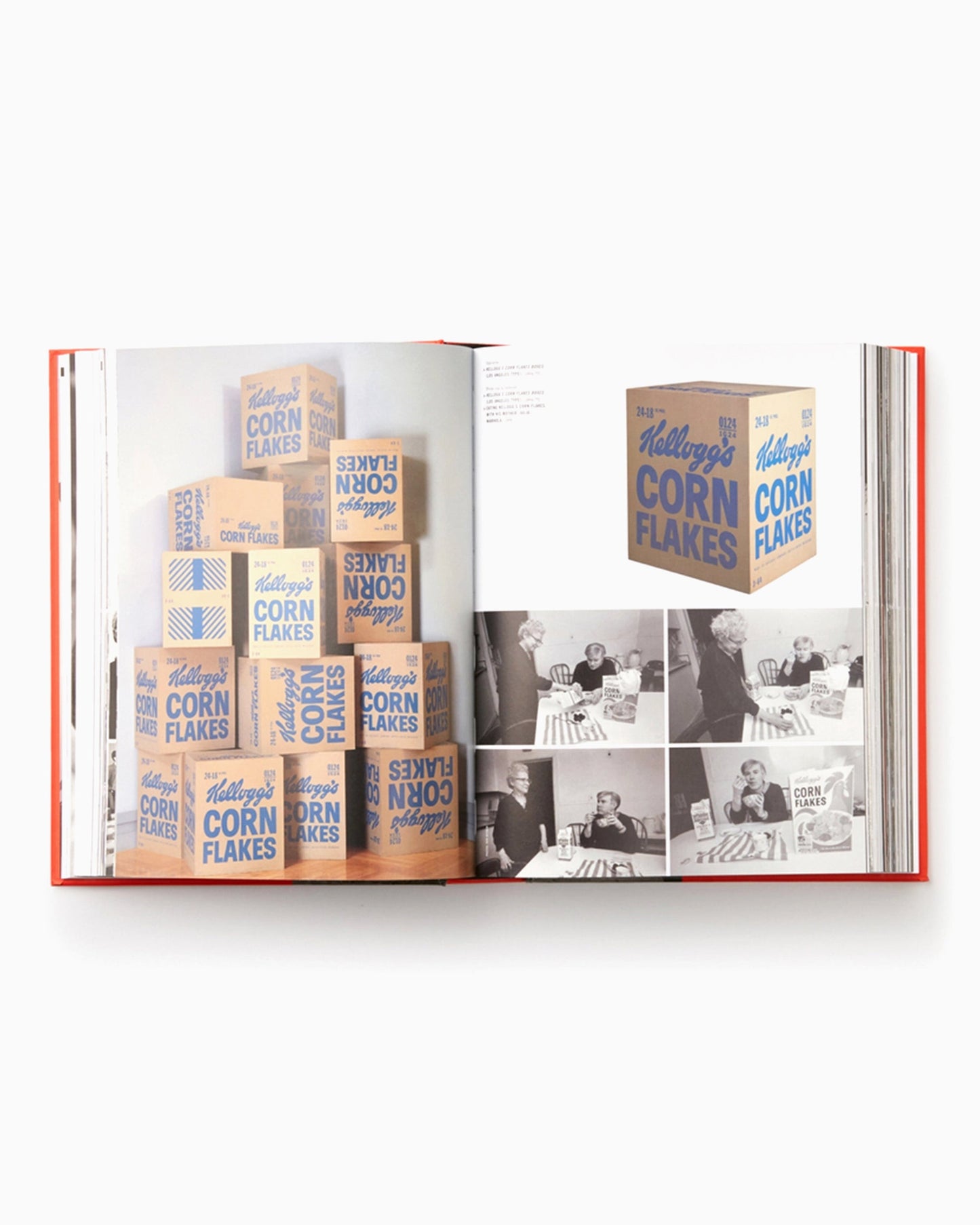 Andy Warhol "Giant" Size Phaidon Editors By Dave Hickey