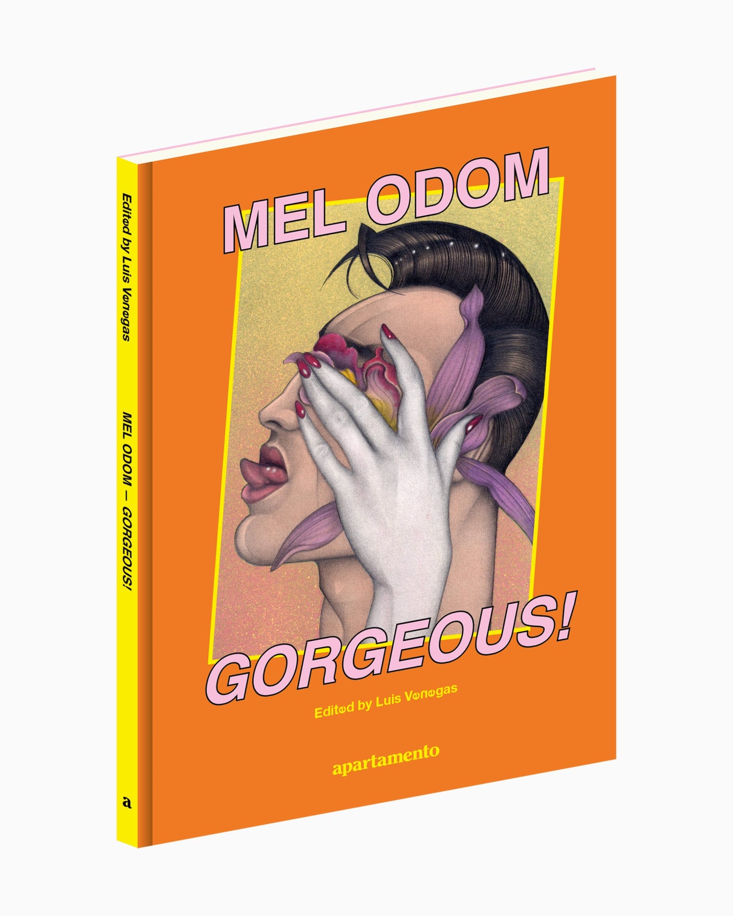apartamento Mel Odom: Gorgeous!
