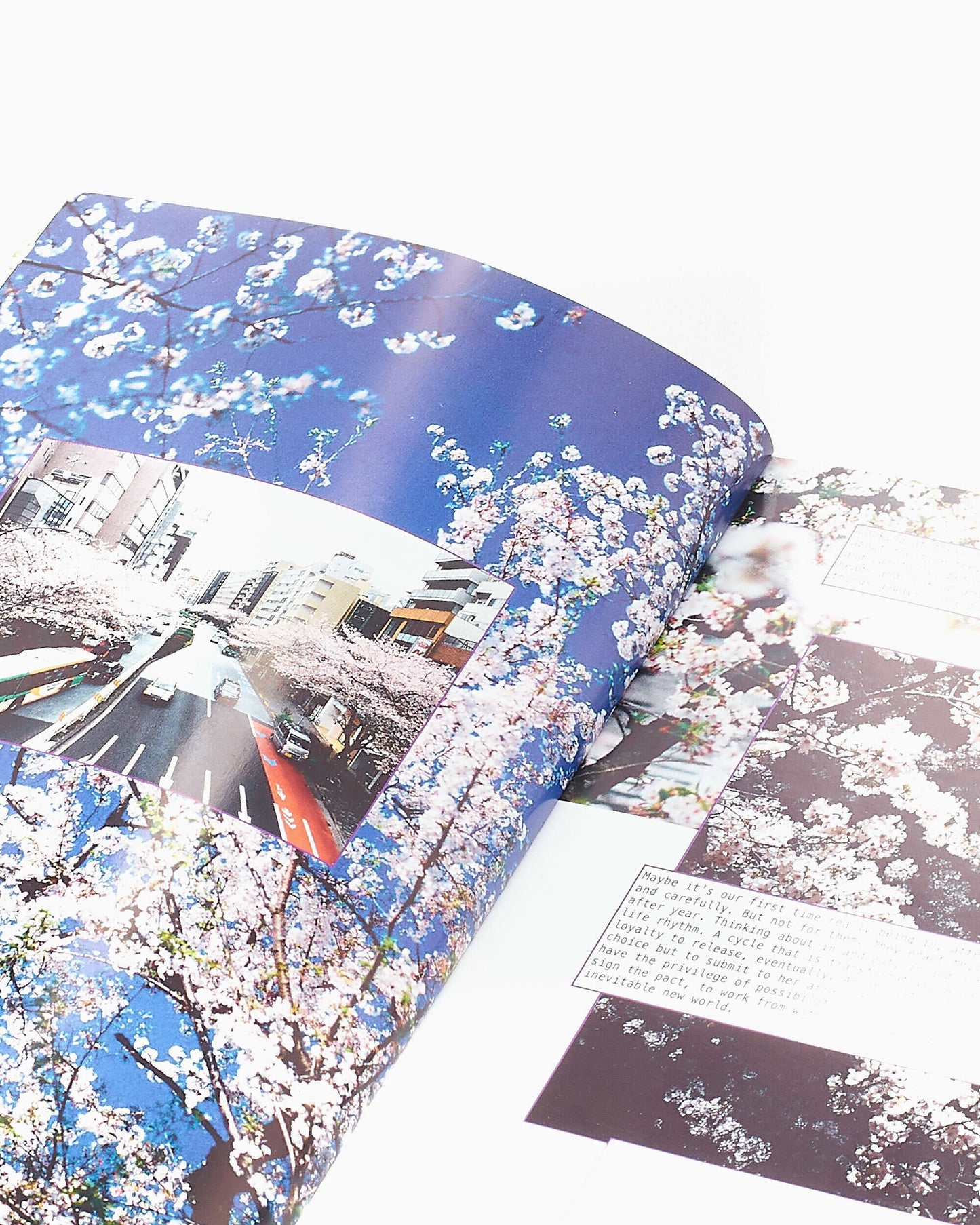 Perks & Mini Perks And Mini Positive Messages Innen Book