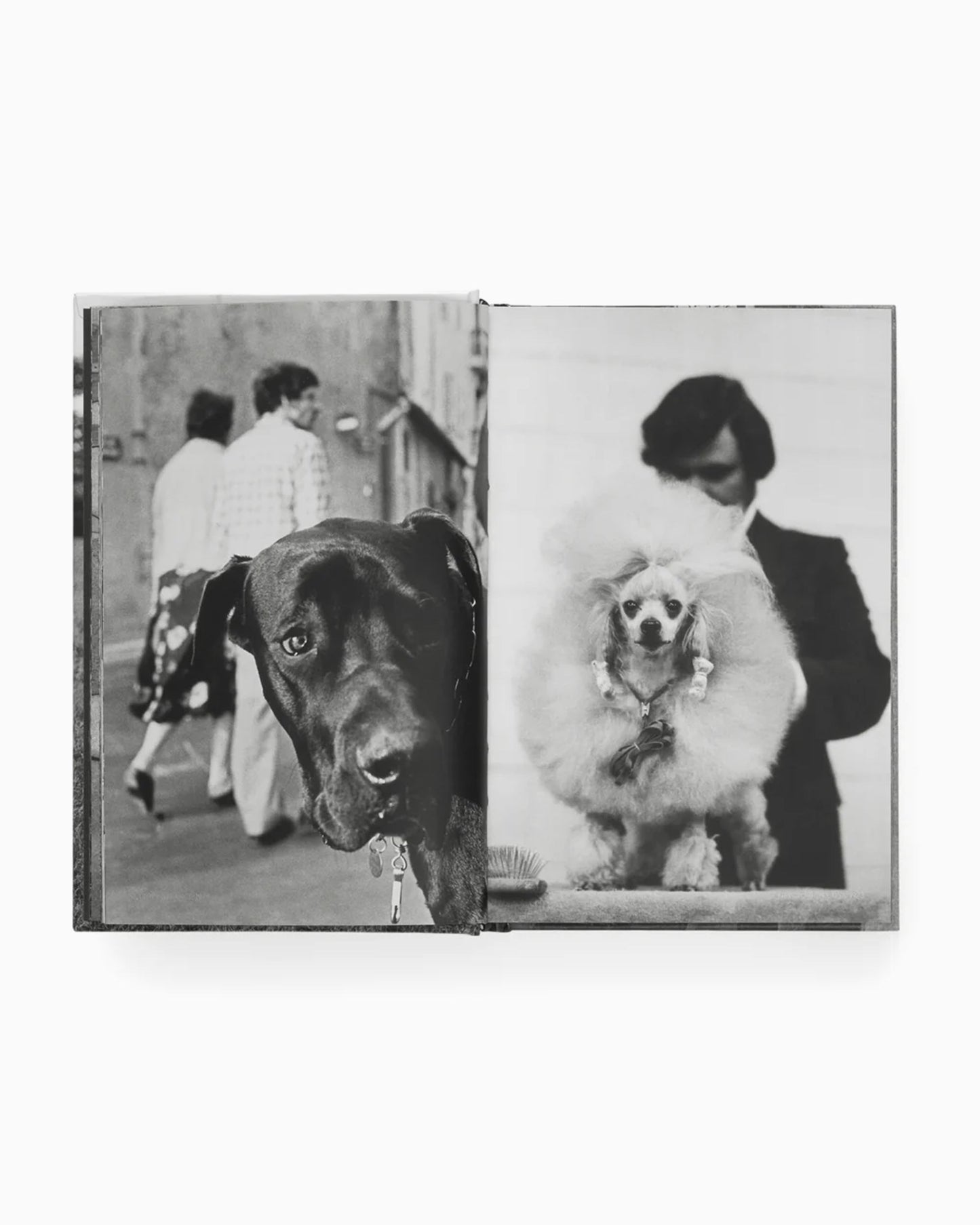 Phaidon Elliot Erwitt: Vida De Perros